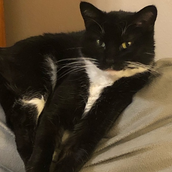 Meet your Posher, Mimi - Picture 7 of 8